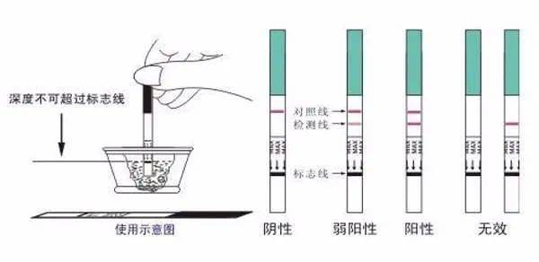 5,基礎體溫測試早孕時間一般女性排卵前體溫在36.