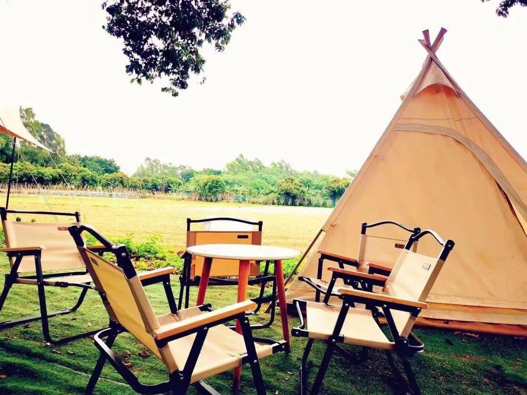 不出广州的露营之旅,安排!_公园_帐篷_草坪
