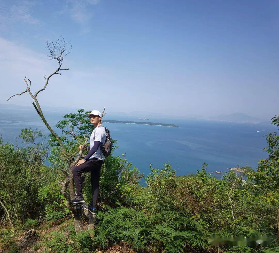 浪漫海湾在哪能看到_浪漫海湾_浪漫海湾 在哪看