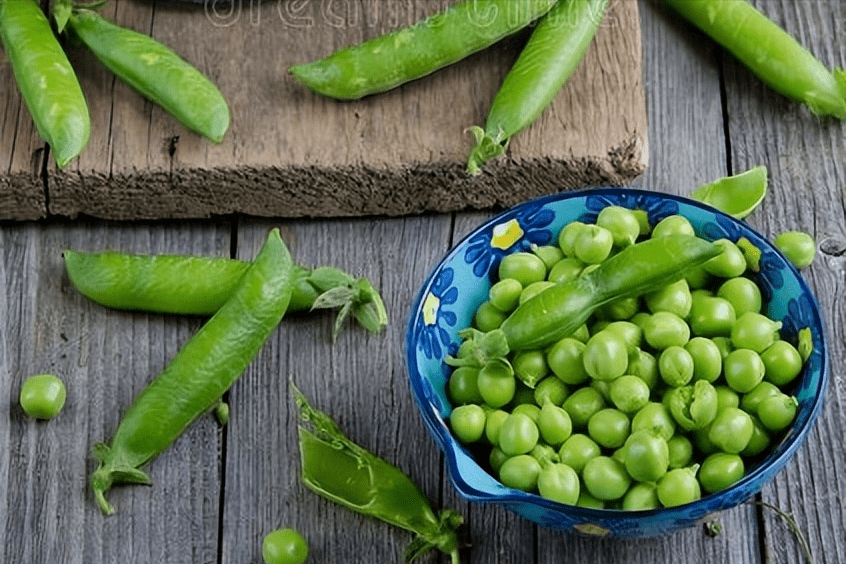 禁忌豌豆功效作用及禁忌_豌豆功效与作用及禁忌_忌豆类包括豌豆尖吗