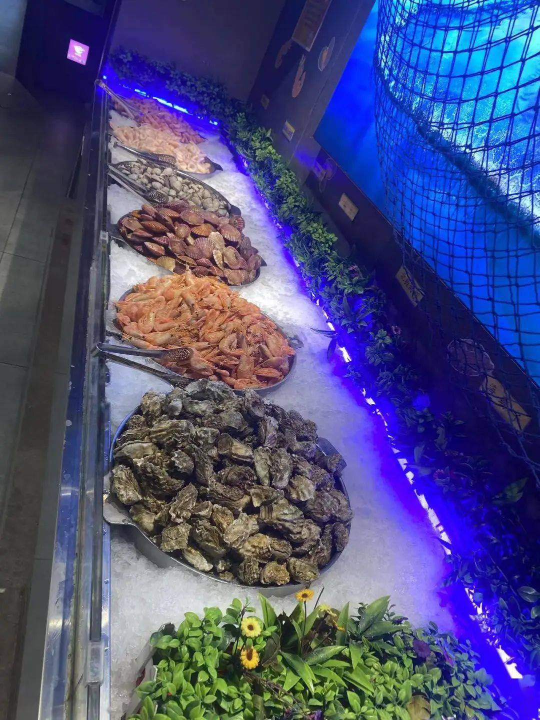 59元秒杀永旺梦乐城十三月自助各种海鲜吃到爽