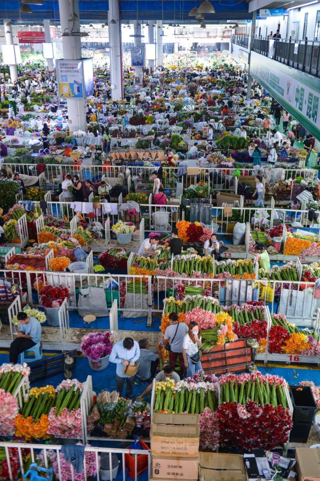 花卉交易市场,商户王俊一边向顾客介绍花卉,一边耐心讲解鲜花保养方法