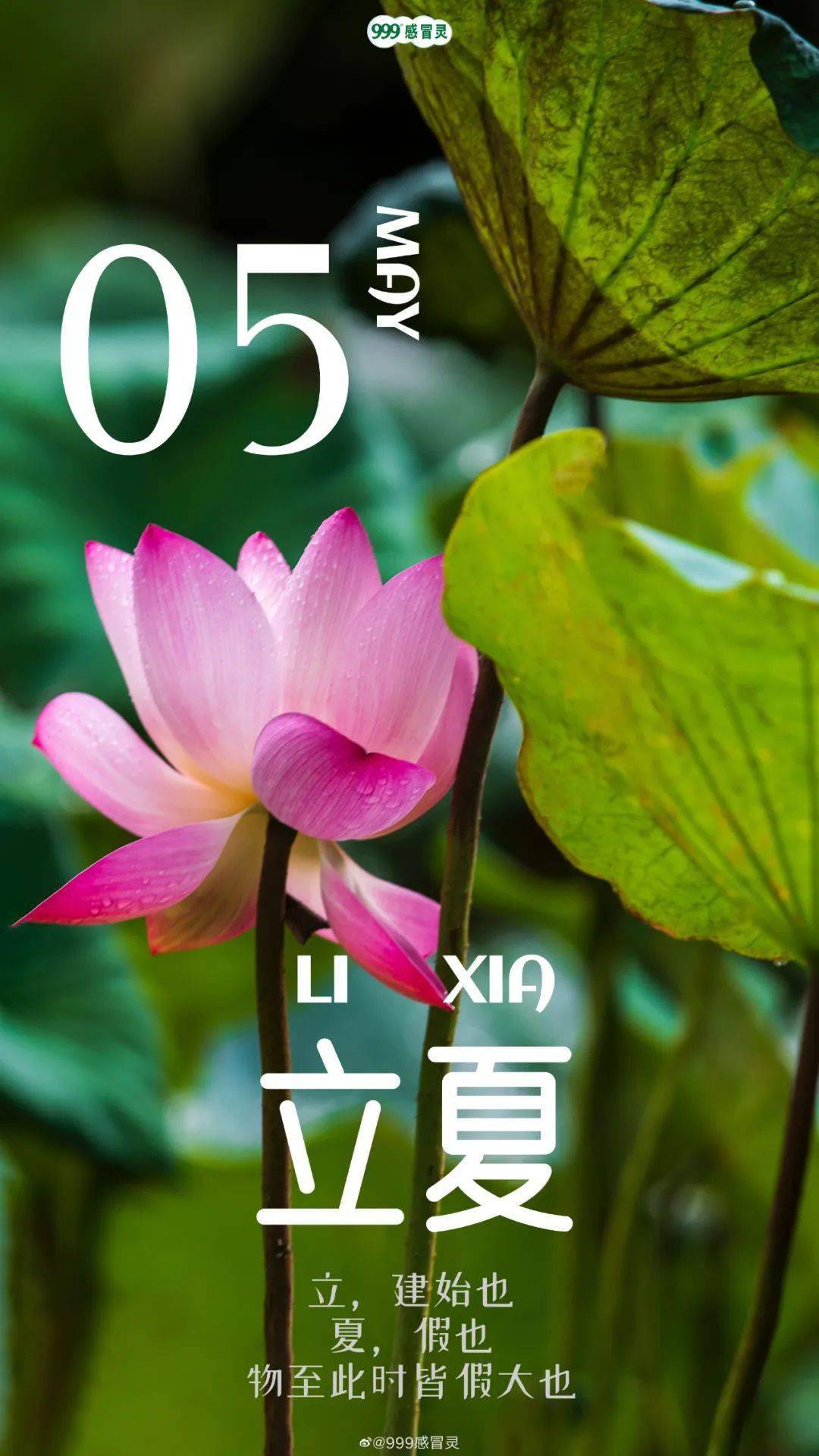 (完整版)_夏天_节气_夏日