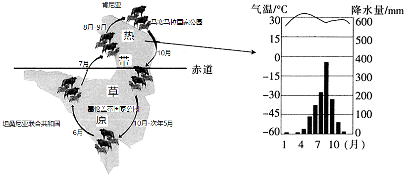 东非大裂谷为什么被称作地球上最大的伤疤东非动物迁