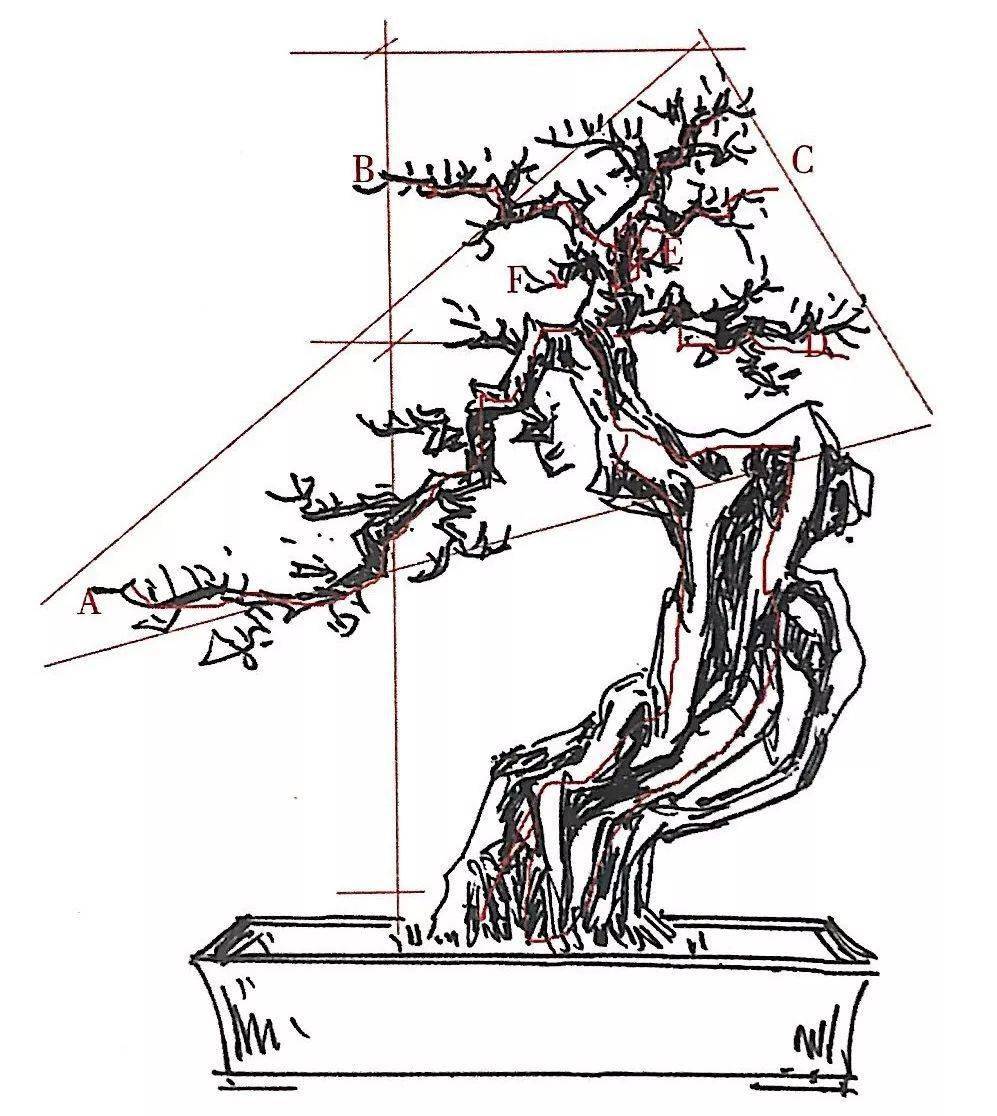 一张盆景设计图令我扎进盆景世界里,原来盆景可以这样玩!