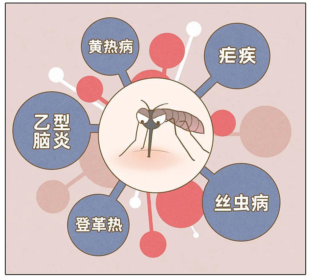 明明都是被蚊子咬为什么你的包那么大