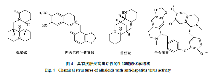生物碱类化合物抗病毒活性及其机制研究进展