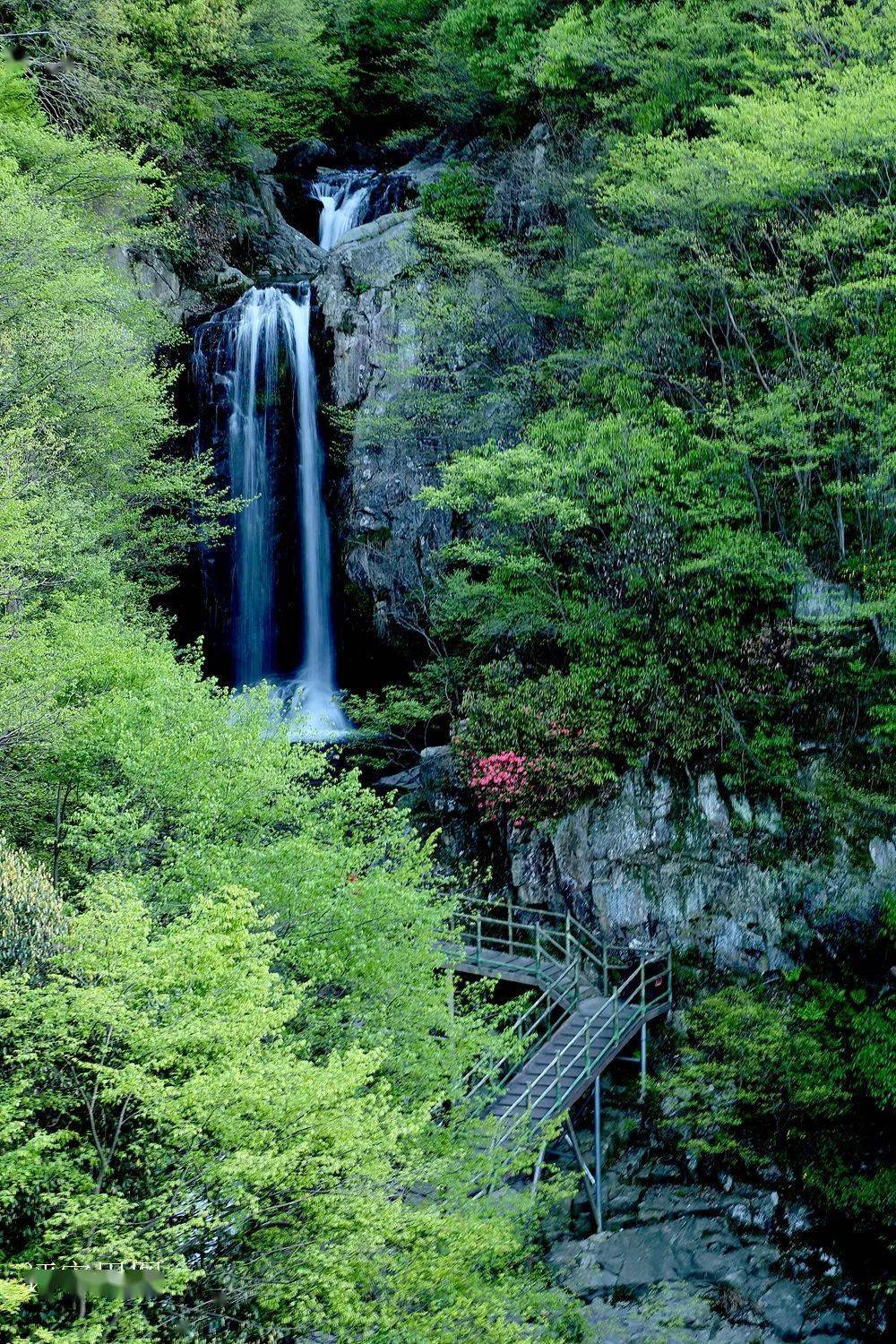 云赏龙津溪地的多彩夏日美景_夏天_中原_颜色