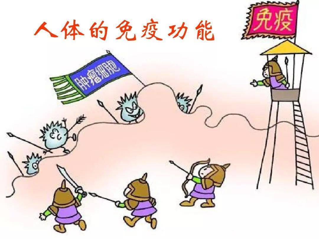 这是最快增强免疫力的方法,没有之一