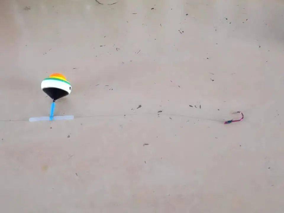 野钓草鱼最狠的一招这种钓法效率高还省钱而且专搞大家伙