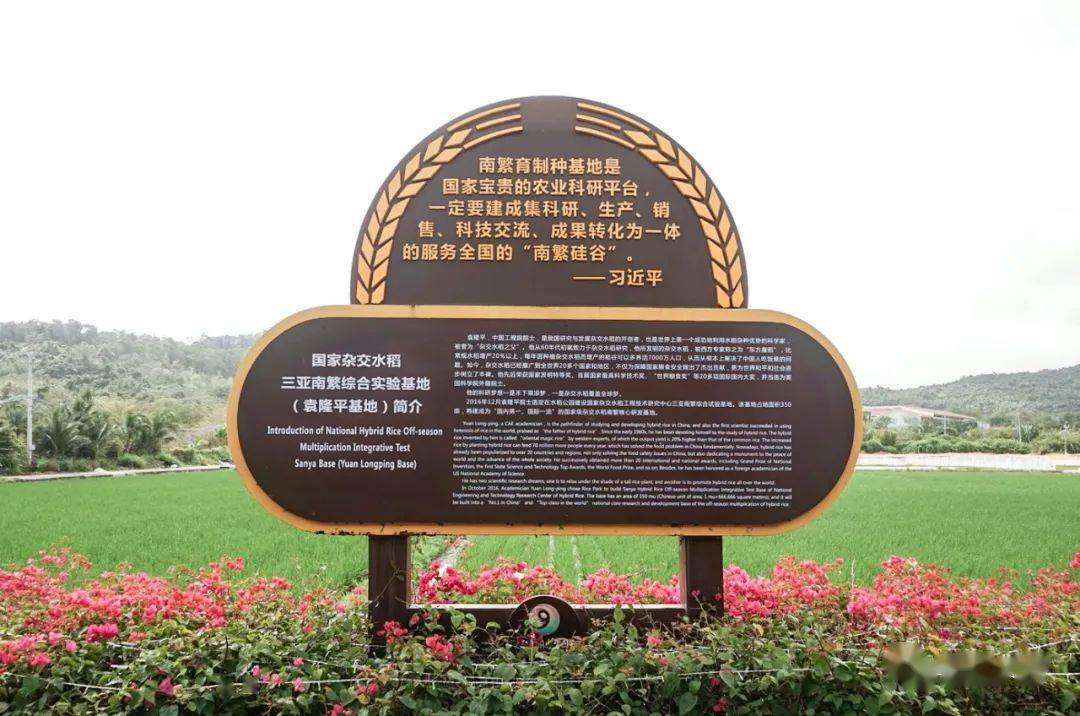 海南水稻公园简介图片