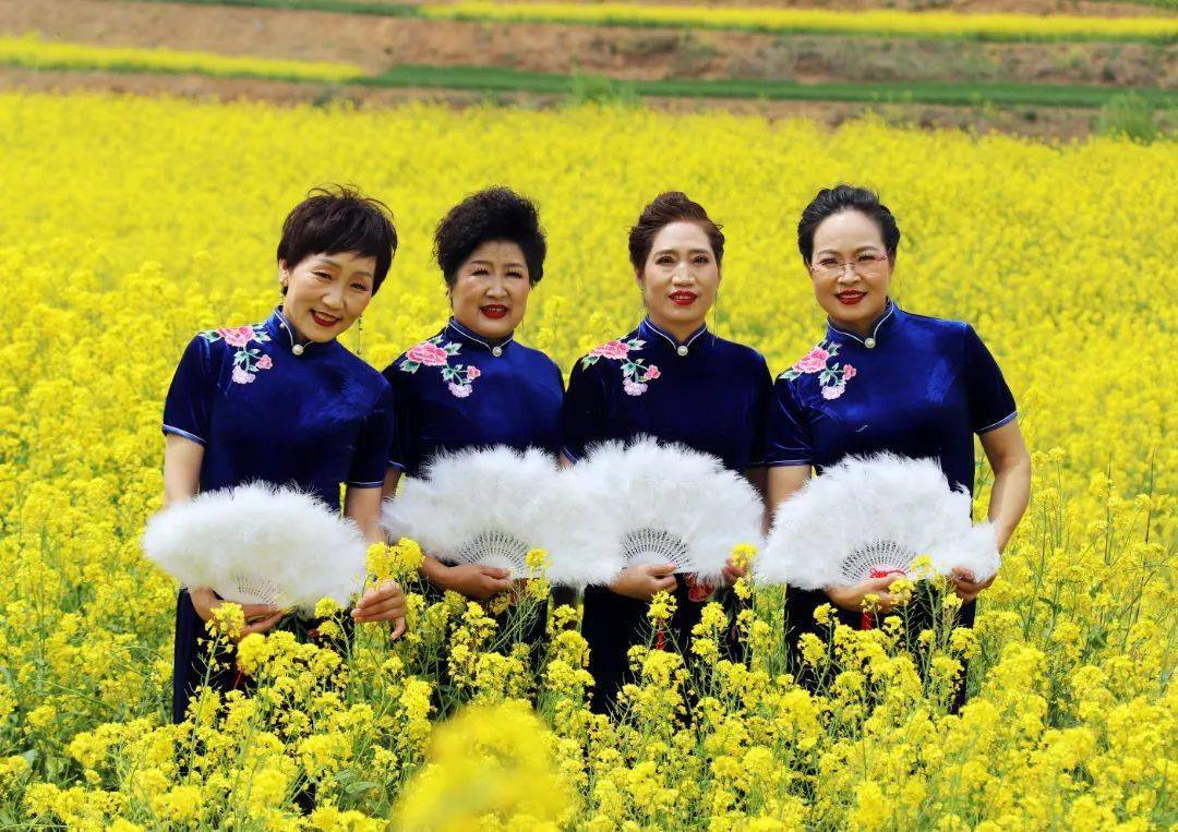 古风国韵惊艳全城油菜花里的旗袍走秀组图