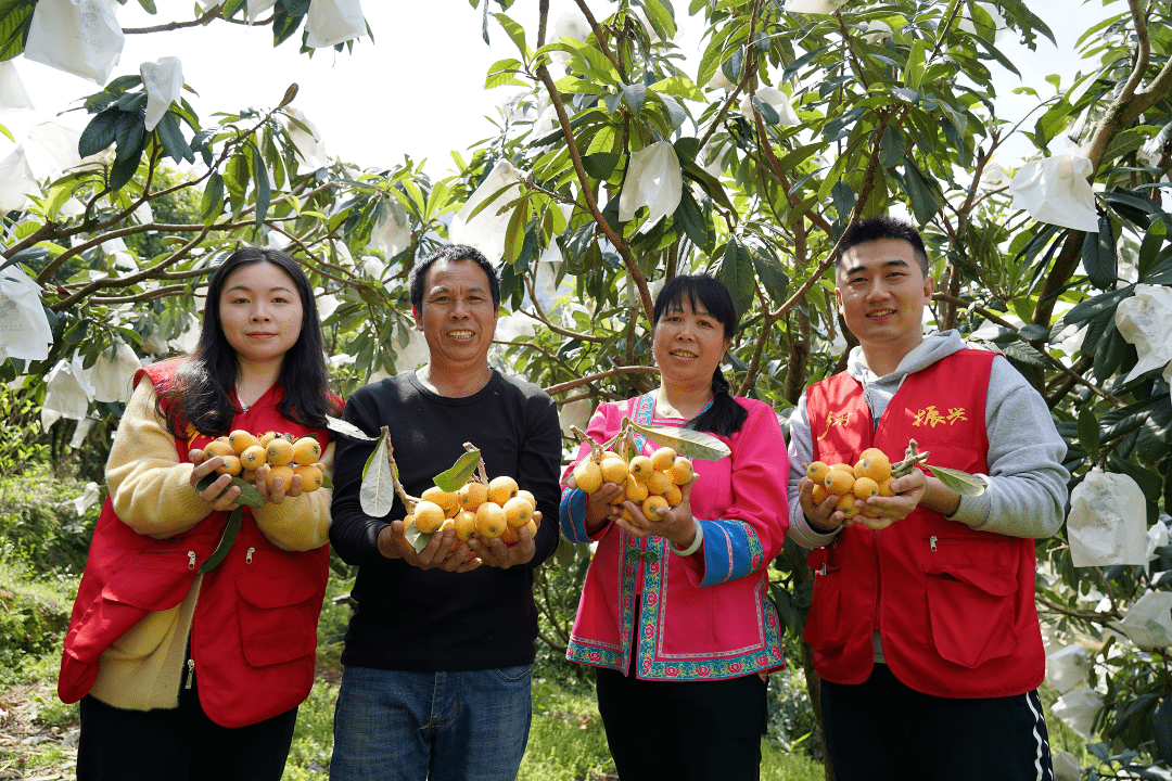 桂林人乡村振兴的致富经