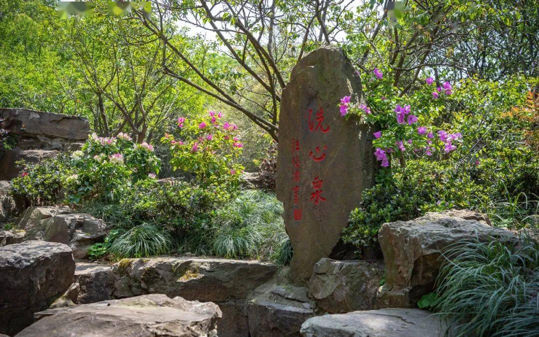 2020年起,梅园景区深挖荣氏精神,梅花品格,对洗心泉,天心台,诵豳堂