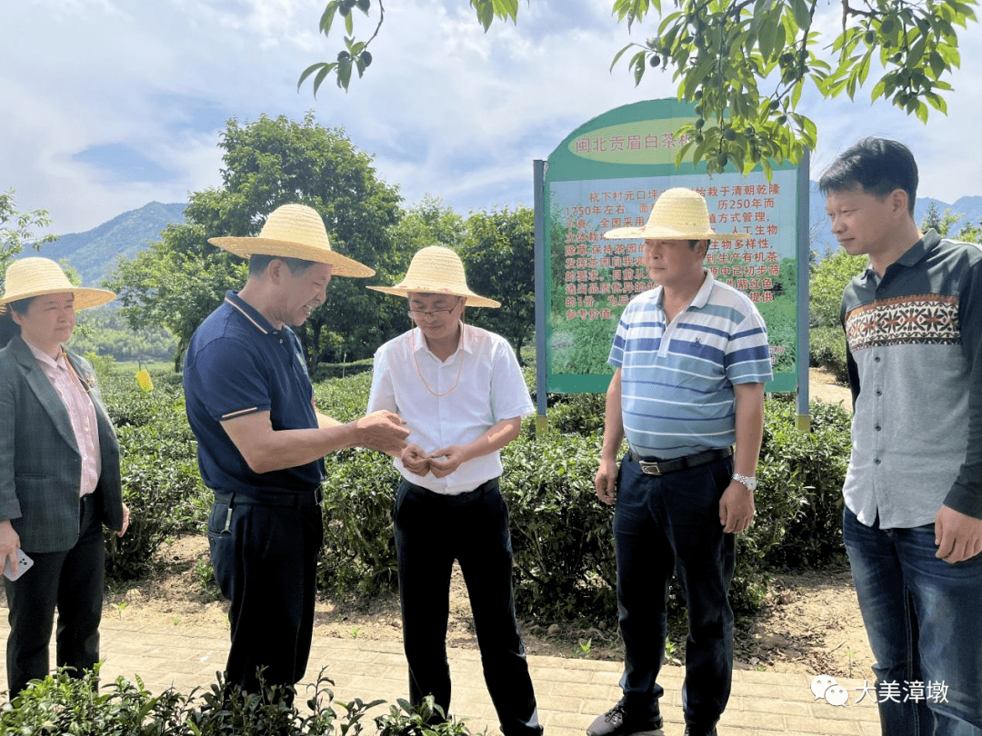 南平市人大常委会副主任潘剑才带队到漳墩镇调研代表工作情况