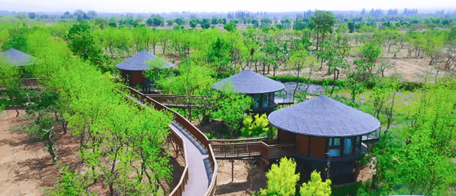 据了解,丰安屯旅游度假区坐落在中宁县石空镇太平村,是中宁县精心打造