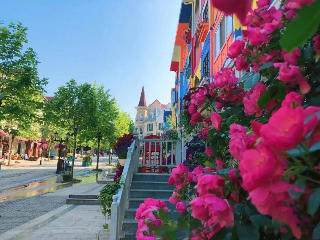 距离彭州市区1小时左右车程的白鹿音乐小镇藏着一座神秘,古典的白色