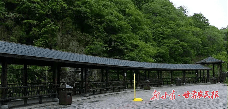 天水市麦积区东岔镇桃花沟依托山水资源做活乡村旅游