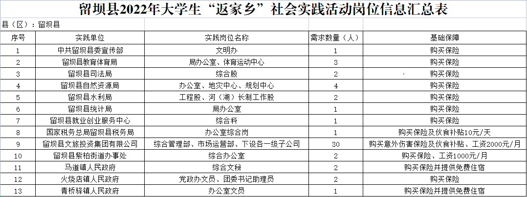 返家鄉快來2022年暑假留壩縣大學生返家鄉社會實踐邀你一起來參與