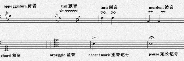 太实用了!_音符_记号_谱表