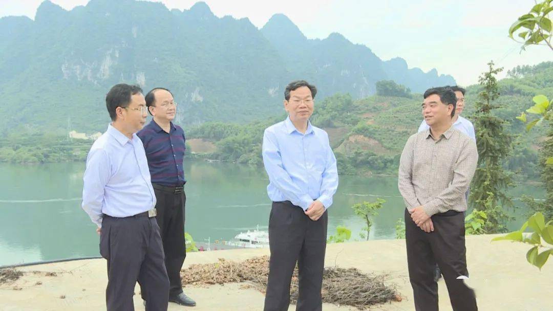 周光华到大化调研坚持政府引导实现多方共赢