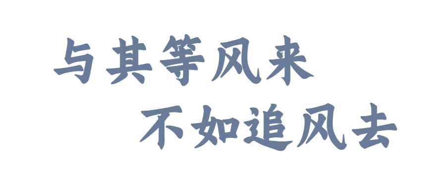 法志协与其等风来不如追风去