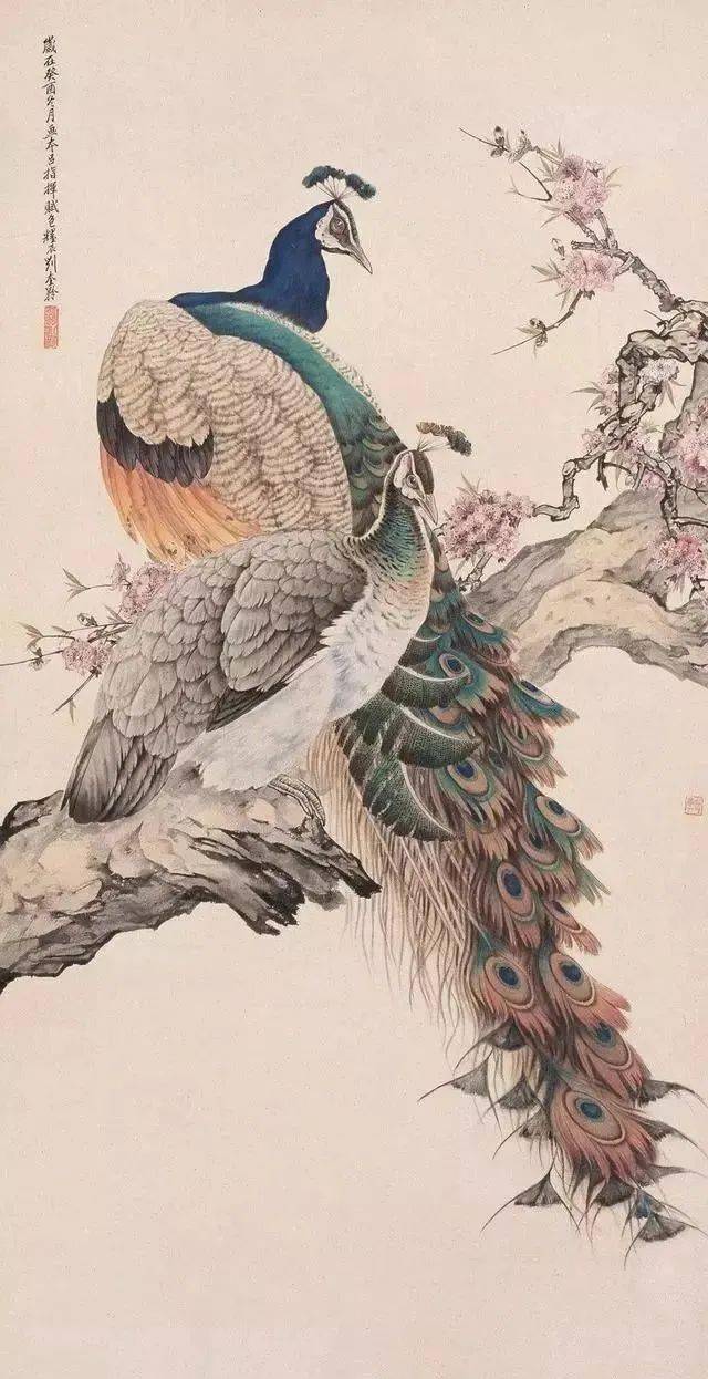 五大名家画孔雀，美极了！_搜狐网