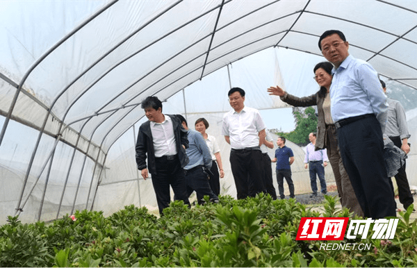 杨利华 屈宇平)5月7日下午,永州市副市长刘卫华深入冷水滩区蔡市镇
