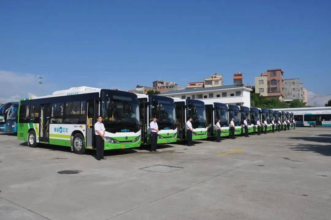 根据方案,在阳西县城范围内乘坐公交车60岁及以上老年人凭身份证或