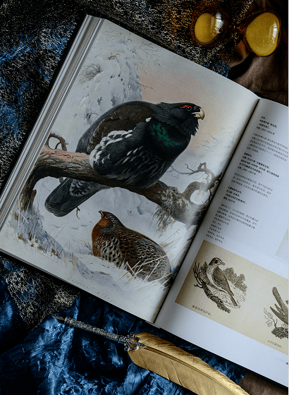 圣佳文库 | 与万物同行,感受生命的神奇与壮美_艺术史_动物_夏洛特·