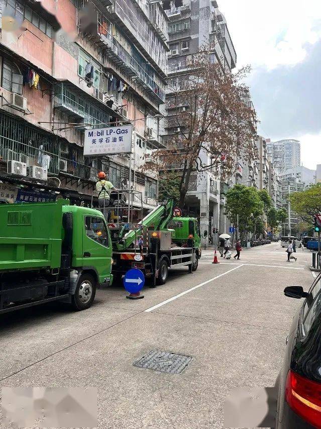 市政署已陆续为拱形马路,孙逸仙大马路,黑沙环中街,如意广场,祐汉新村