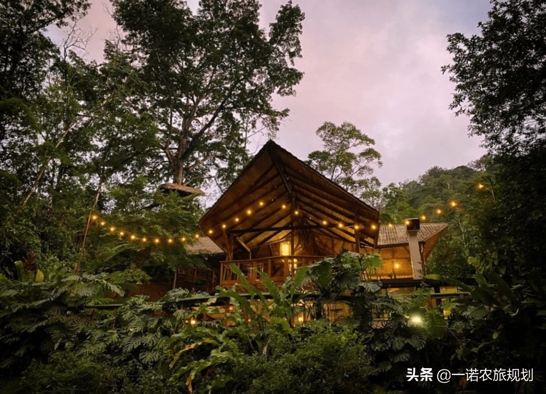 童话般的森林酒店带你体验世外桃源