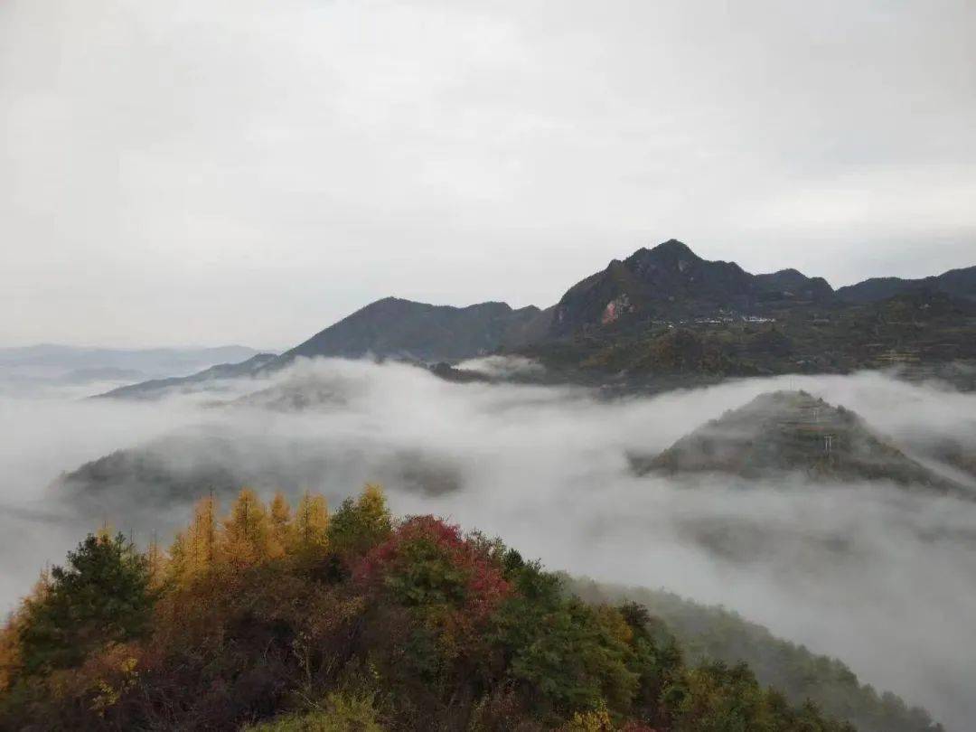 壯闊無際的雲海風光呢說說你此刻的感受吧(來源:網信隴南)監製:石貴平