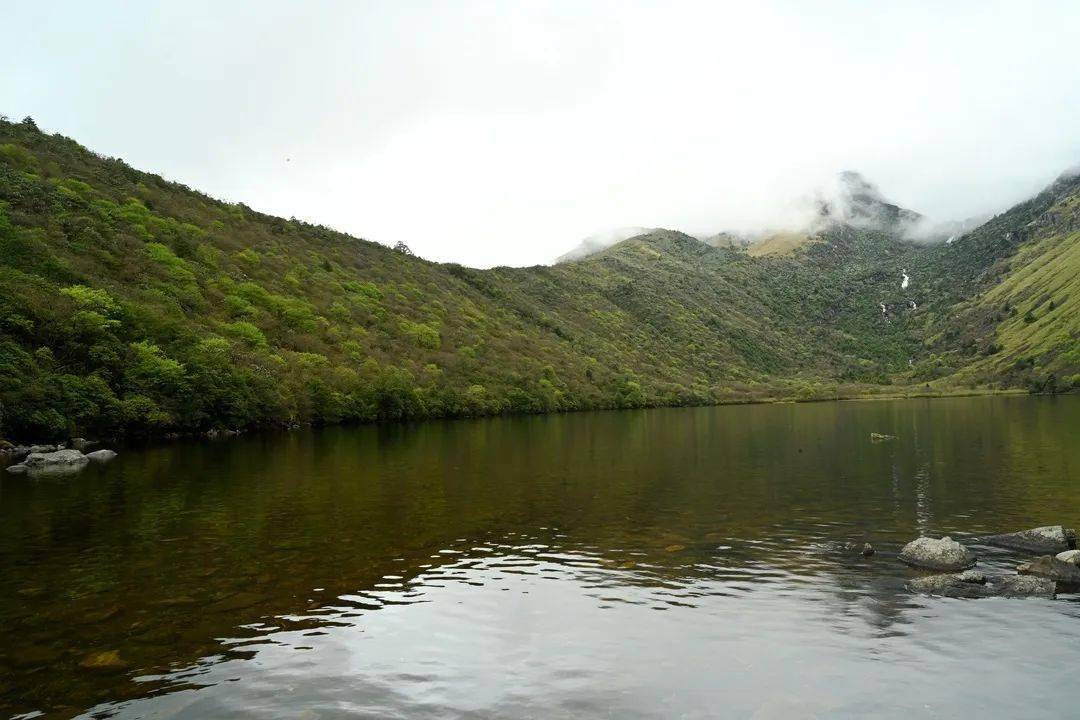 龙伟到越西调研文旅工作_长海_保护_越西县