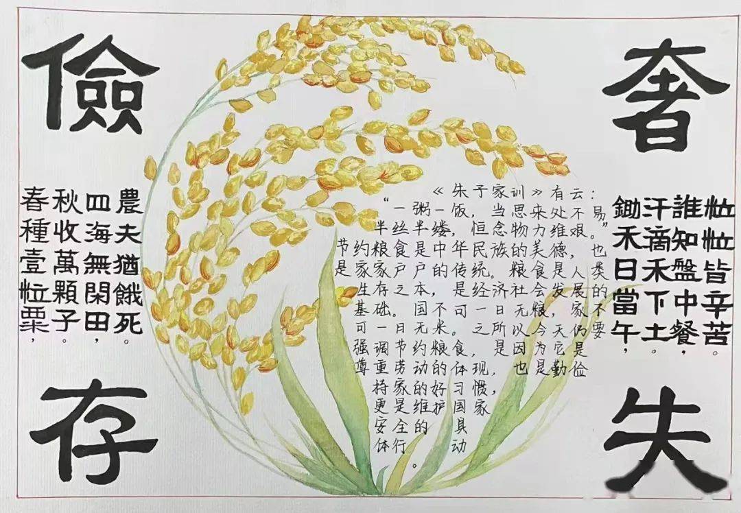 爱粮节粮手抄报 大学图片