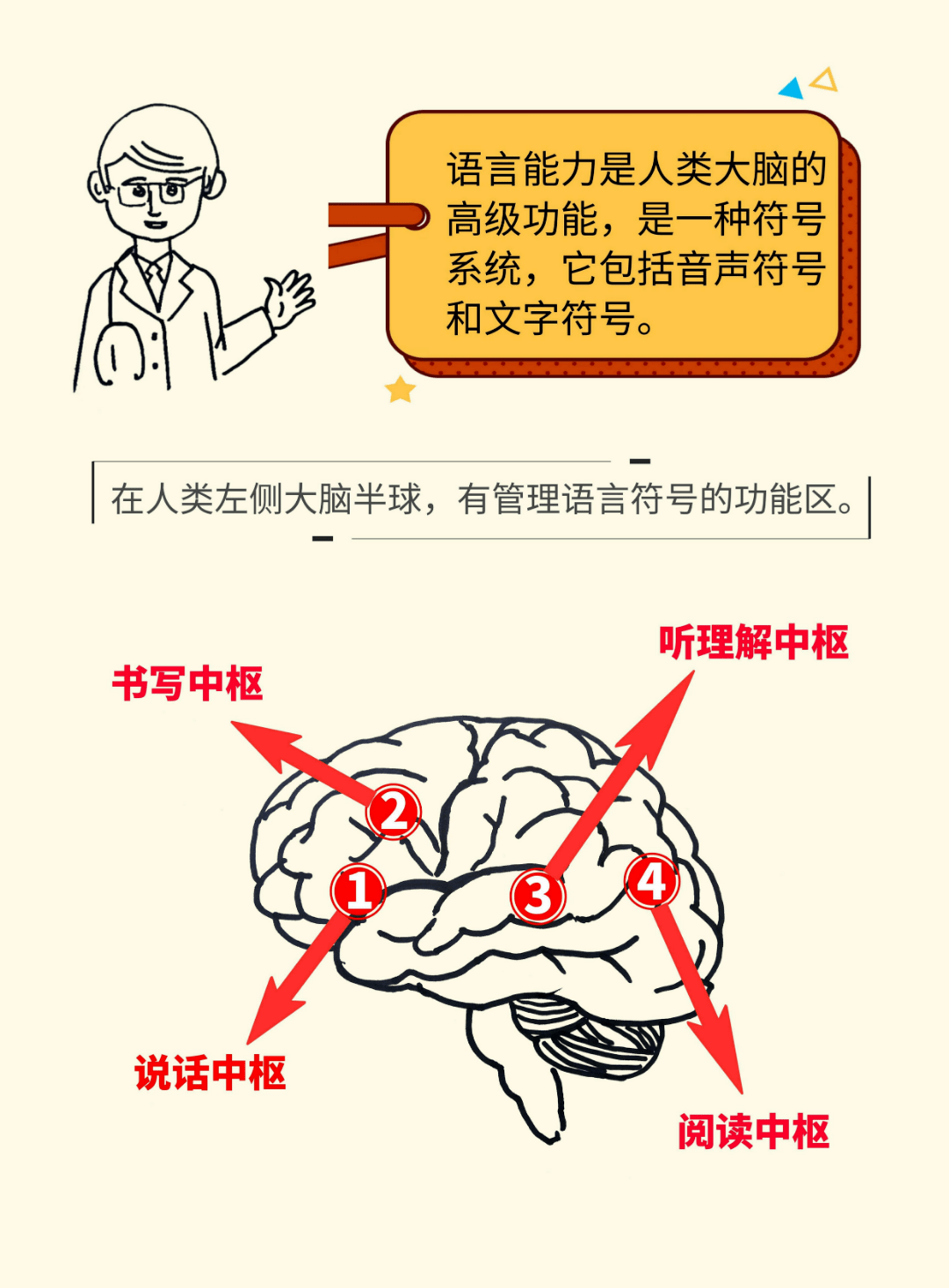 你所不知道的"语言中枢"和"失语症"_患者_follow_给予