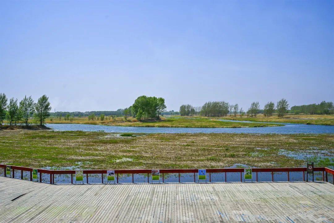 沈北七星湿地公园位置图片