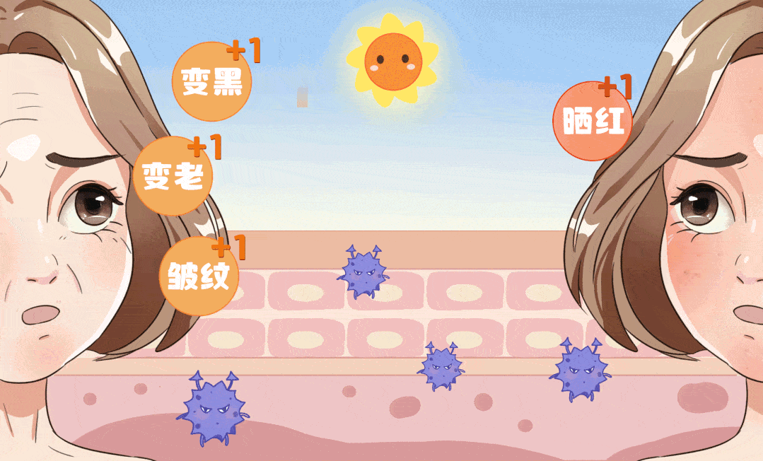 中波紫外线(uvb)容易晒红,晒伤和晒黑皮肤;长波紫外线(uva)的穿透能力