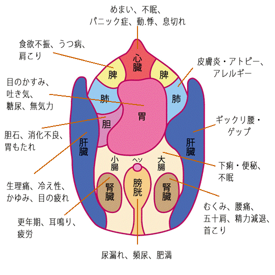 送给吃多的人,马上消食摩腹法