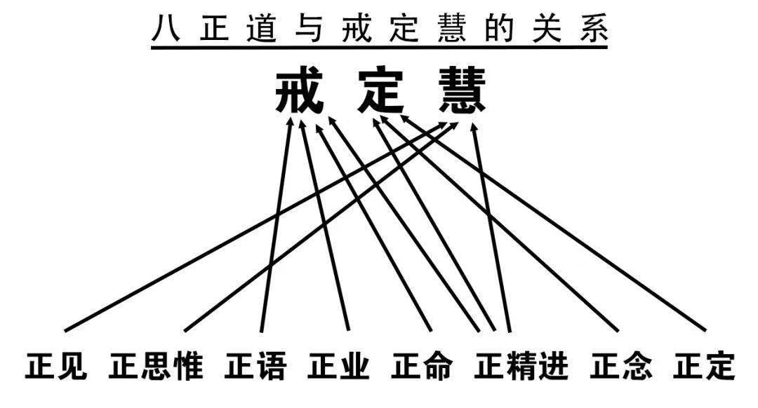 綱領,八正道歸納起來亦不出戒,定,慧三無漏學:正見,正思惟屬於慧學;正