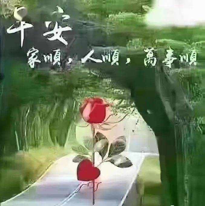 早上好中午好下午好晚上好