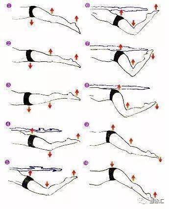 谈谈蝶泳发力的根本如何腰腹部发力