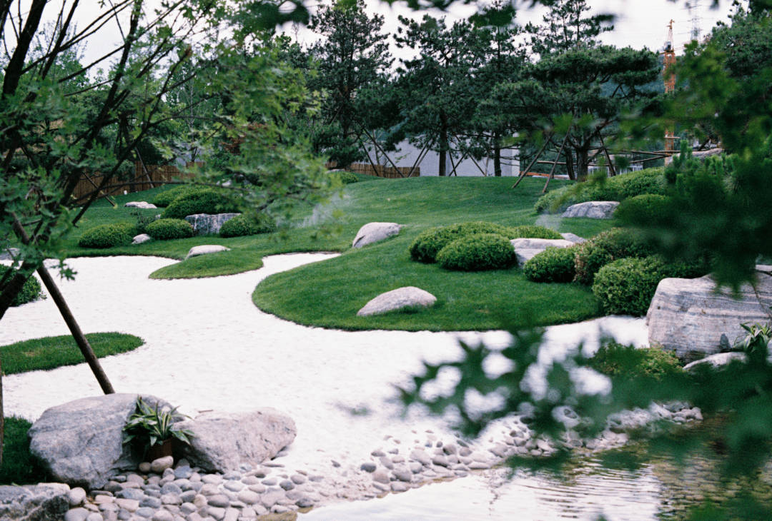 干货丨地形设计的重要性_植物_变化_问题