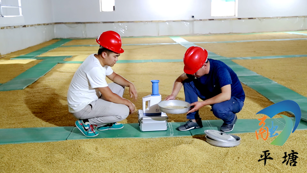 【民族要复兴 乡村必振兴】平塘:加强粮食储备 确保粮食安全_储粮