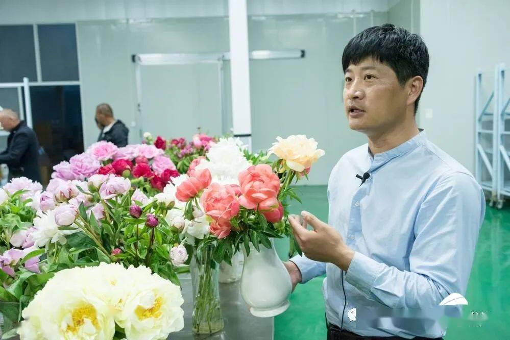 说到菏泽牡丹芍药鲜切花的发展,菏泽市牡丹芍药鲜切花协会会长周长玉