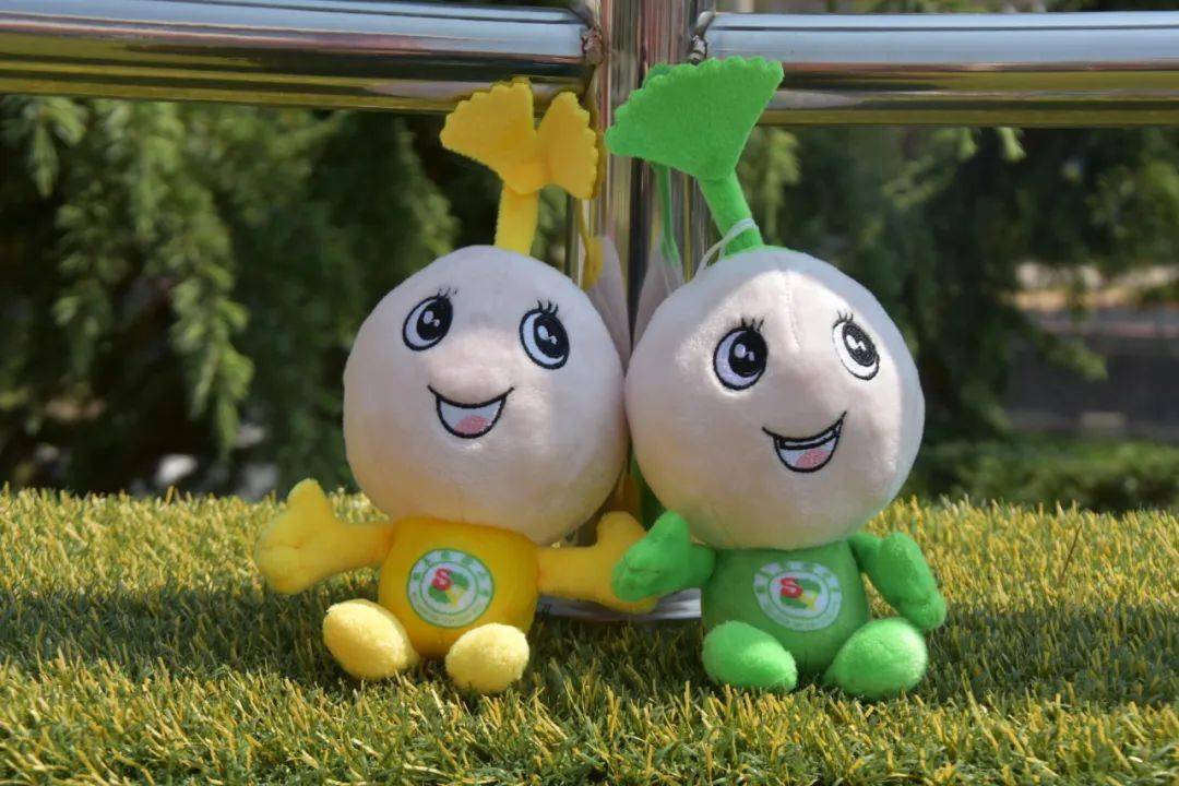 徽县实验小学创建"美丽校园"纪实_银杏_文化_活动