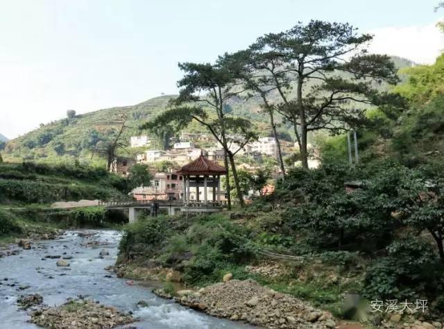 福美村的经济在整个大坪乡也算是比较活跃的,好多福美人定居厦门,安溪