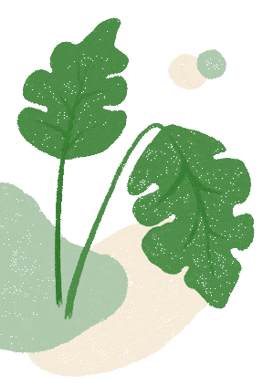 读书养心︱心灵疗愈书单推荐