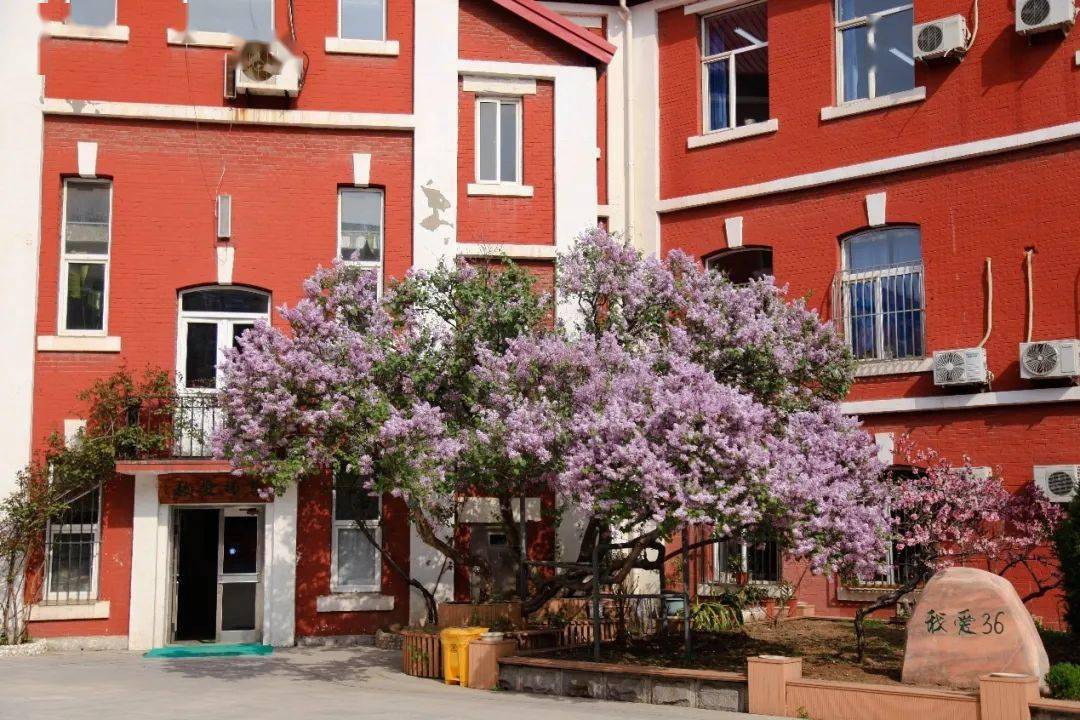 2022全景看高中丨三十六中:塑造完美人格的摇篮_教育_辽宁省_大连