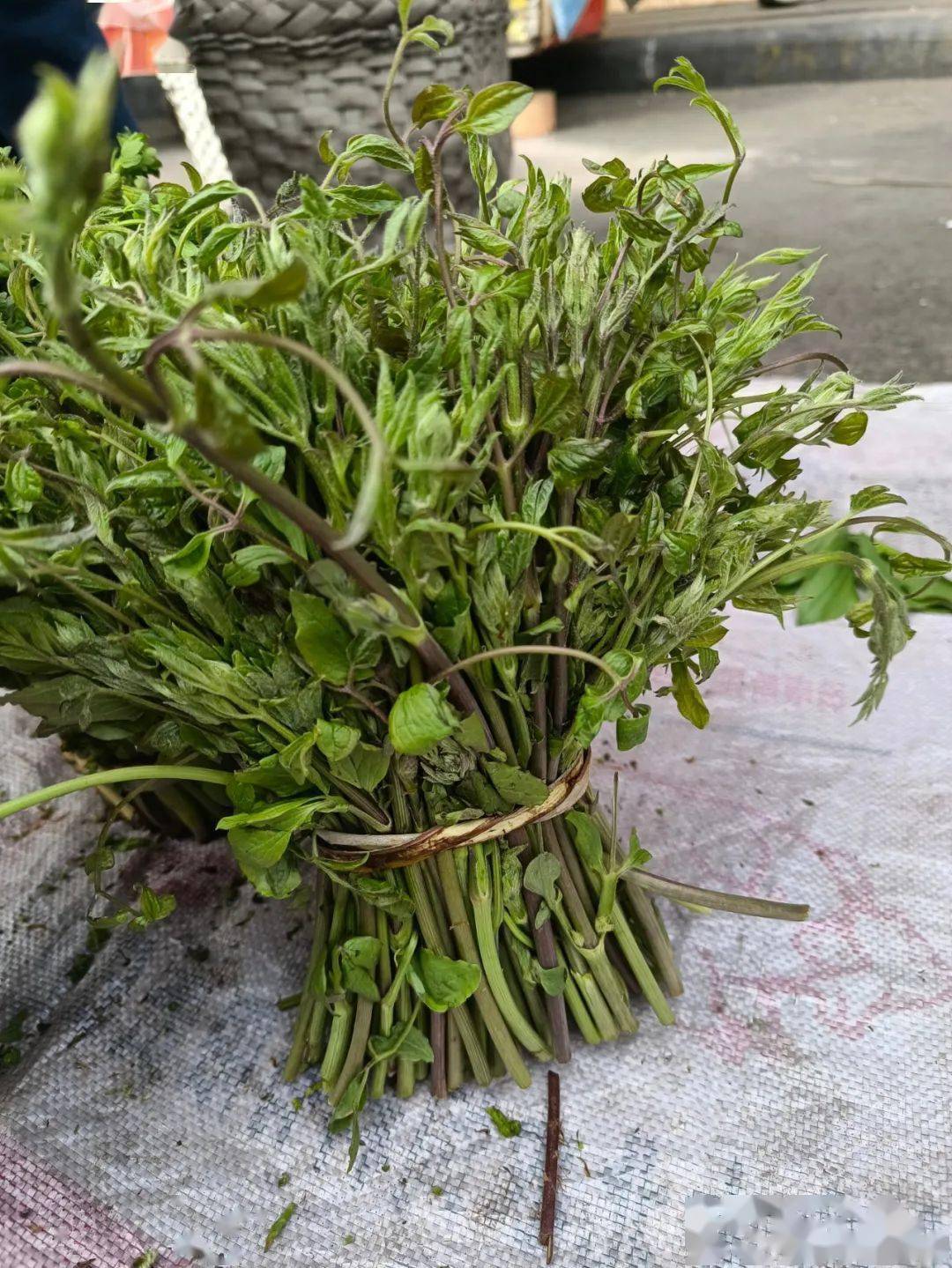 吉林菜市場山野菜一覽